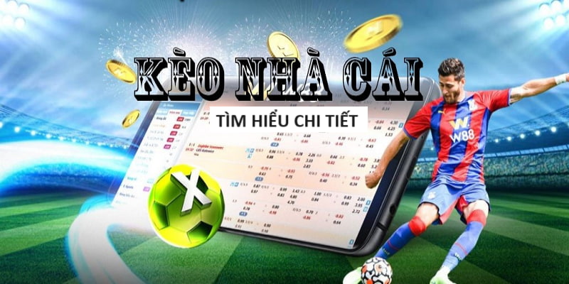 bi88-Bắt đầu hành trình với trang cược xanh chín ngay bây giờ! bi88-Bắt đầu hành trình với trang cược xanh chín ngay bây giờ!